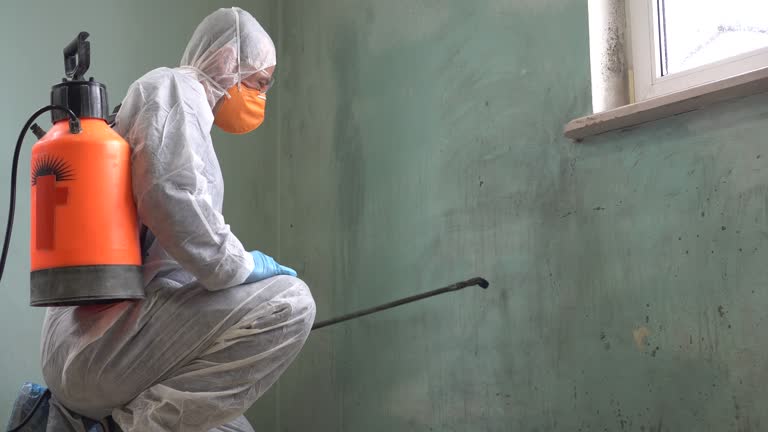 Why You Should Choose Our Mold Remediation Services in Homeland, GA